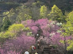 -天台山赤城山景区