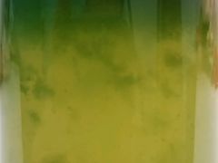 -感智盲人按摩·艾灸·肩颈SPA(岗厦店)