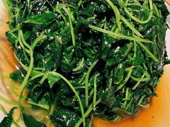 -姜君·千岛湖鱼头馆(浦东大道店)