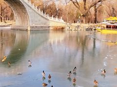 -颐和园