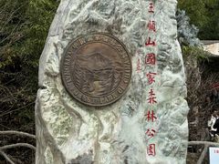 -王顺山国家森林公园