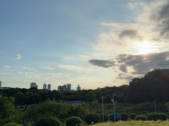 -紫马岭公园