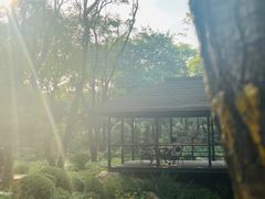 -熙古里艺术村