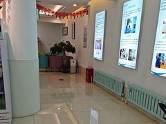 -北京观赏动物医院·24小时大型综合·猫专科·异宠专科