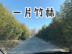 -禧宴Joyous Restaurant(禧园店)