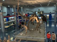 -国家自然博物馆