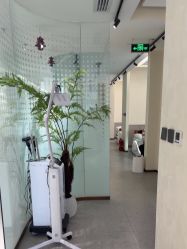 -碧莲盛·脱发养发中心