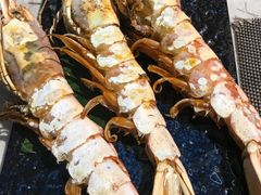 -極上萬膳·日料放题(海岸城店)
