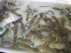 -拉威海鲜市场