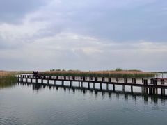 -苏州太湖湖滨国家湿地公园