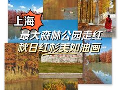 -上海海湾国家森林公园