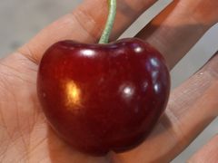 -菜园坝水果市场