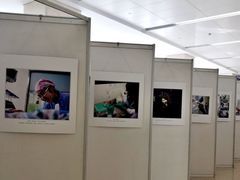 -天津医科大学肿瘤医院(本部院区)