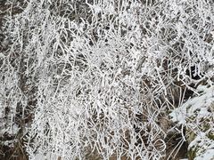 -秦岭终南山世界地质公园翠华山景区