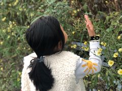 -喜洋洋蟹庄(阳澄湖店)