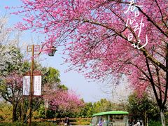 -杭州半山国家森林公园