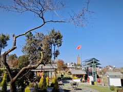 -云禾壹海景庄园餐厅