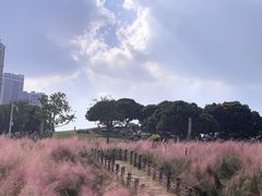 -红花山公园