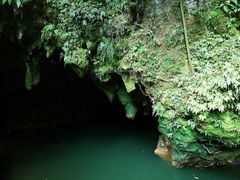 -怀托摩萤火虫洞