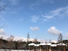 -同里国家湿地公园