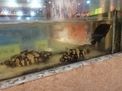 -巽寮印象美食部落餐厅·海鲜·地方特色菜(惠州体验店)