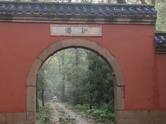 -灵谷景区