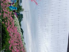 -秀丽东方