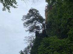-塔云山