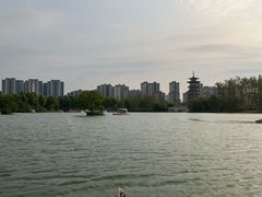 -洋湖国家湿地公园