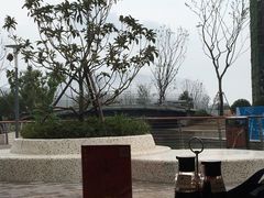 -鼎泰丰(嘉年华•海信广场VILLAGE店)