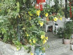 -Sasa的海(蜈支洲岛后海店)