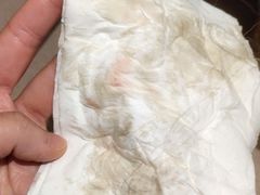 -纳吉亚猫专科动物医院·北北分院