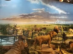 -陕西自然博物馆