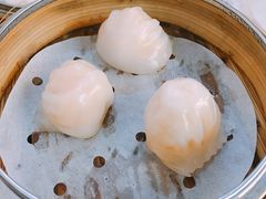 虾饺-点点心点心专门店(湾仔店)