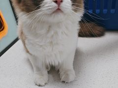 -嘉馨宠物医院·CT影像转诊·心脏科·犬猫全科诊疗中心(下沙大学城院区)