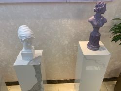 -紫洁俪方（北京）医疗美容