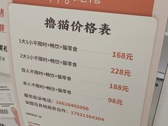 -COLOR PETS 撸猫馆·购猫·猫咖(长风大悦城店)