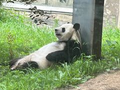 -沈阳森林动物园