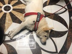 -嵊泗基湖沙滩