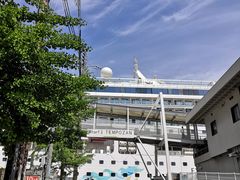 -大国药妆(NEW心斎橋店)
