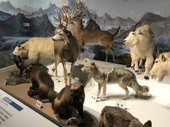 -陕西自然博物馆