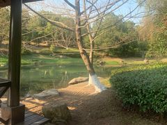 -美丽洲堂