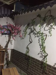 -盘子古摄影(顶务店)