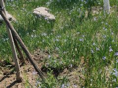 -天津东丽湖风景区