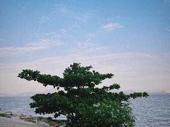 -深圳湾公园(南山区)
