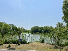 -梁鸿国家湿地公园