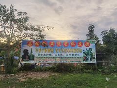 -荔枝红五号农庄