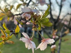-玄武湖景区-情侣园游乐场