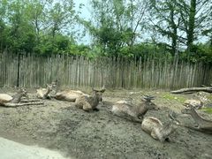 -上海野生动物园