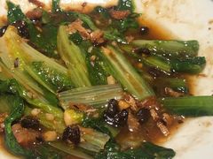 -大榕树下顺德菜(融创茂店)